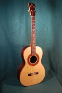 Baritone Uke/Tenor Guitar