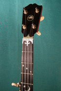 5 String Banjo