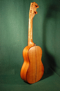 New Concert Spruce/Peach