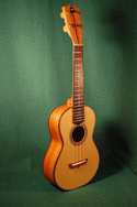 New Concert Spruce/Peach